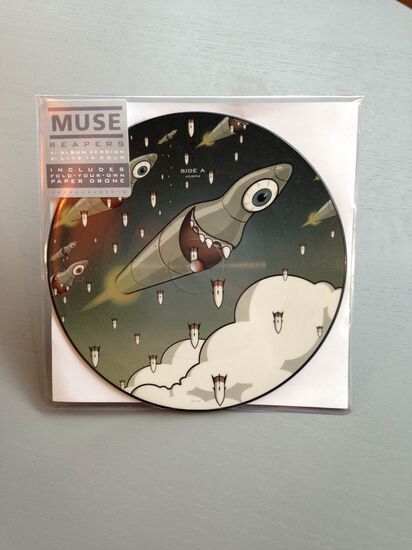 Reapers 7" Picture Disc